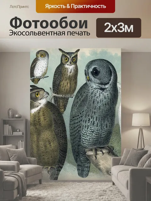 200 × 300 см · Экосольвентная печать