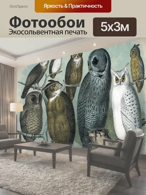 Фотообои Винтажные иллюстрации искусства совы Винтажное искусство