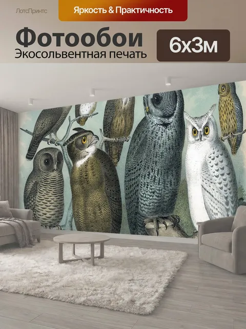 600 × 300 см · Экосольвентная печать