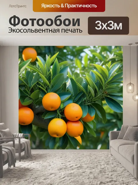 Фотообои Апельсиновое дерево с яркими фруктами