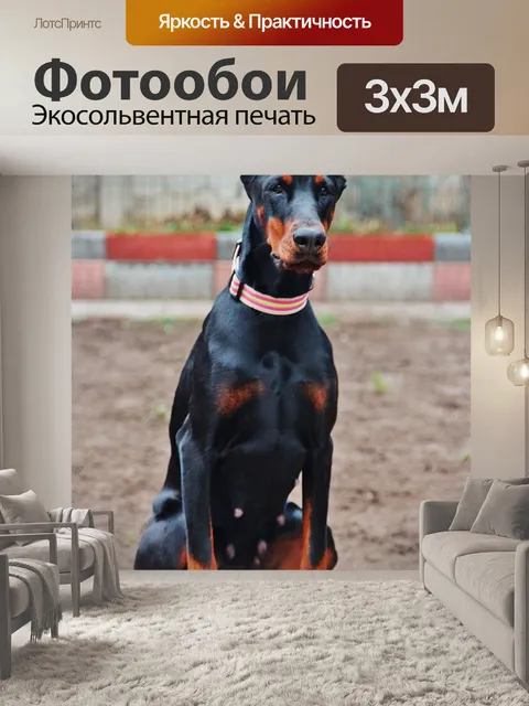 Фотообои Доберман, собака, дом