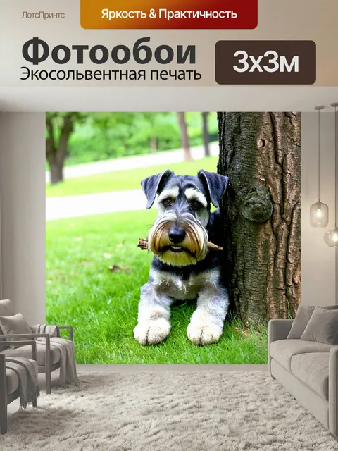 Фотообои Собака шнауцер, держащая в зубах палку, выглядывающая из-за дерева в парке