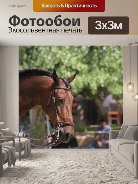 Фотообои Лошадь, лошадиная голова, езда на лошади