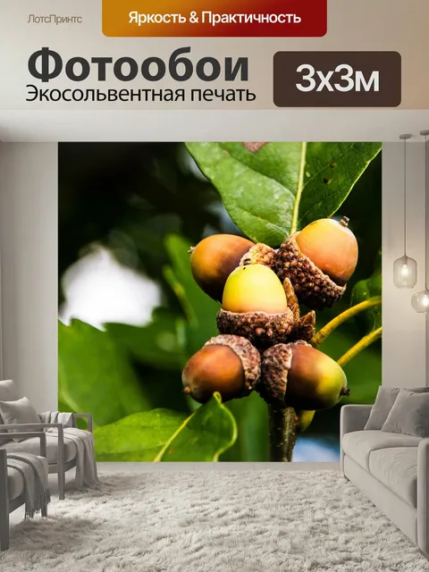 Фотообои Желуди, дуб, дубовые листья