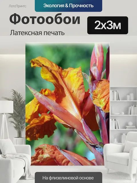 200 × 300 см · Латексная печать