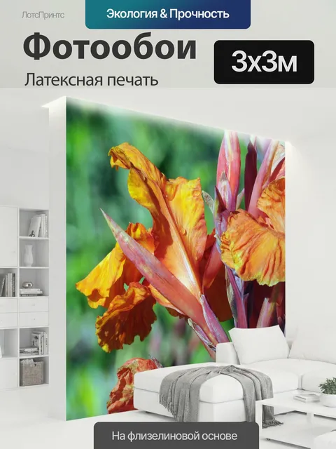 300 × 300 см · Латексная печать