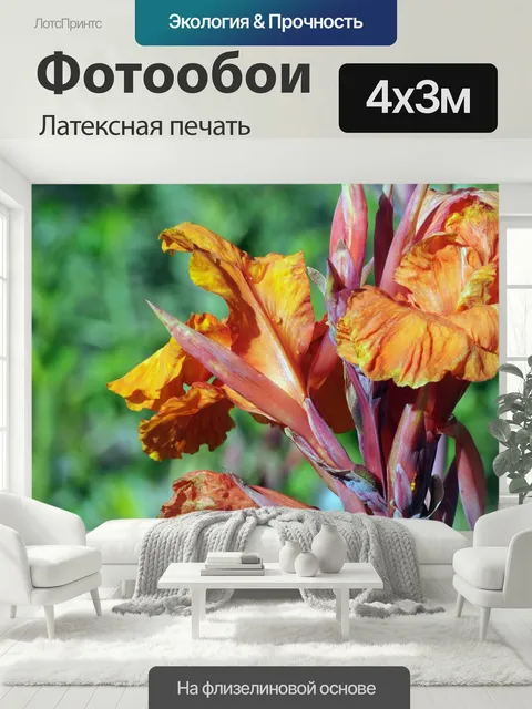 400 × 300 см · Латексная печать