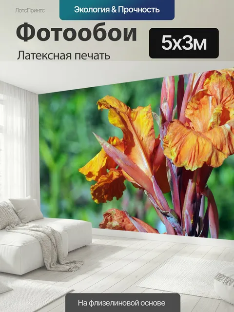 500 × 300 см · Латексная печать