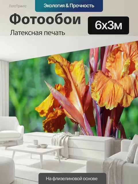 600 × 300 см · Латексная печать