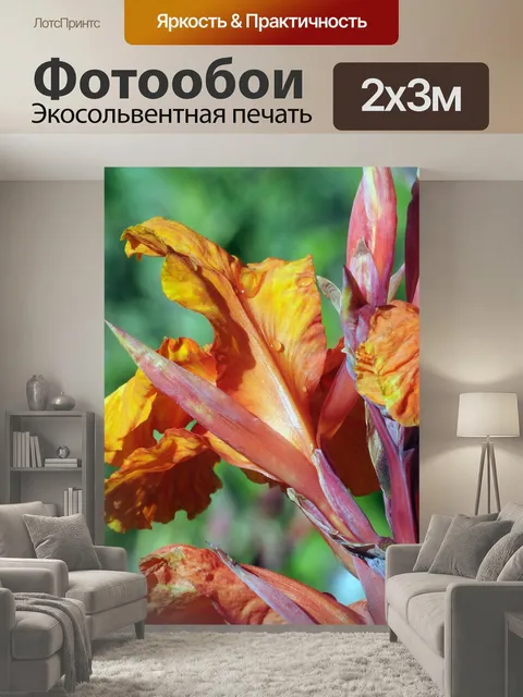 200 × 300 см · Экосольвентная печать