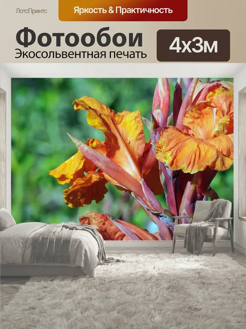 400 × 300 см · Экосольвентная печать