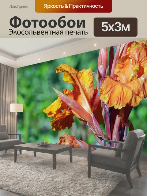 Фотообои Яркий оранжевый Ирис фон крупным планом две яркие оранжевые и желтые ирисов с дождем капель на педалях…