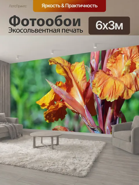 600 × 300 см · Экосольвентная печать