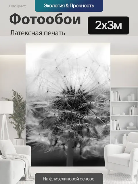 200 × 300 см · Латексная печать