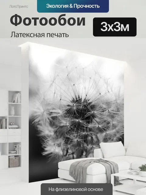 300 × 300 см · Латексная печать