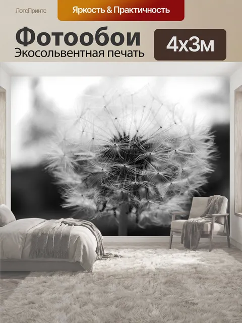 400 × 300 см · Экосольвентная печать