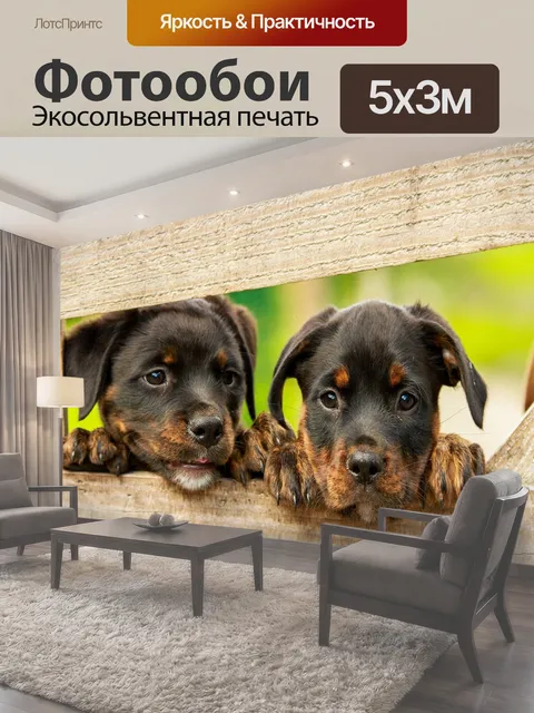 Фотообои Ротвейлер, щенок, собака