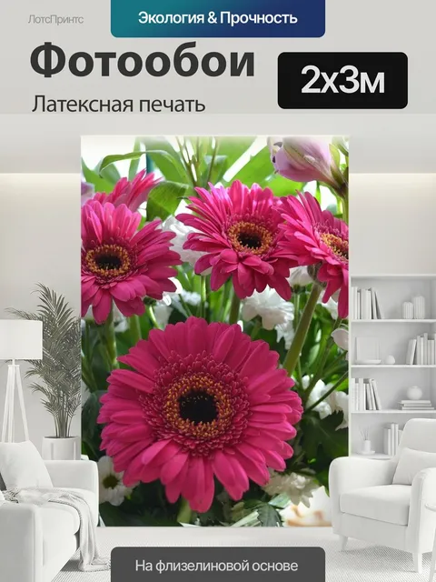 200 × 300 см · Латексная печать