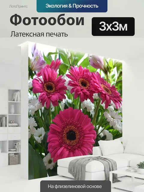 300 × 300 см · Латексная печать
