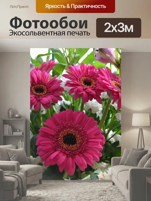 200 × 300 см · Экосольвентная печать