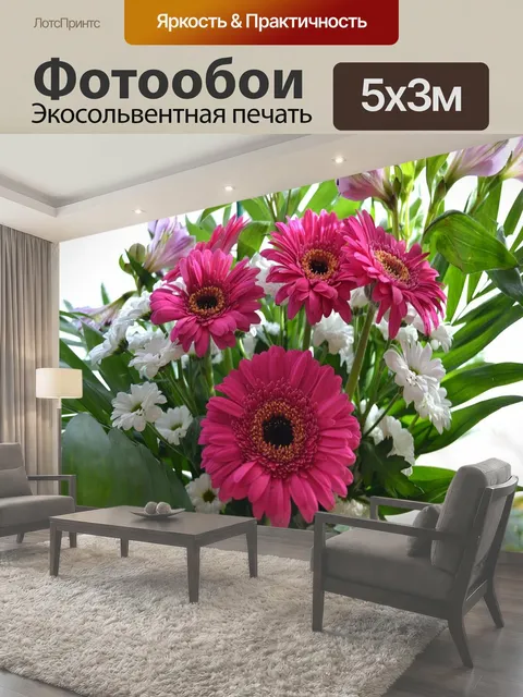 500 × 300 см · Экосольвентная печать