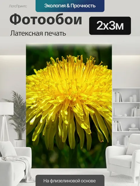 200 × 300 см · Латексная печать