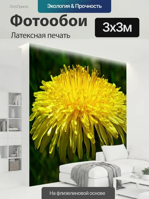300 × 300 см · Латексная печать