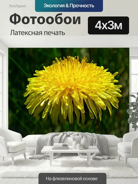 400 × 300 см · Латексная печать
