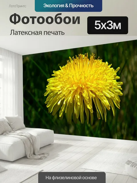 500 × 300 см · Латексная печать