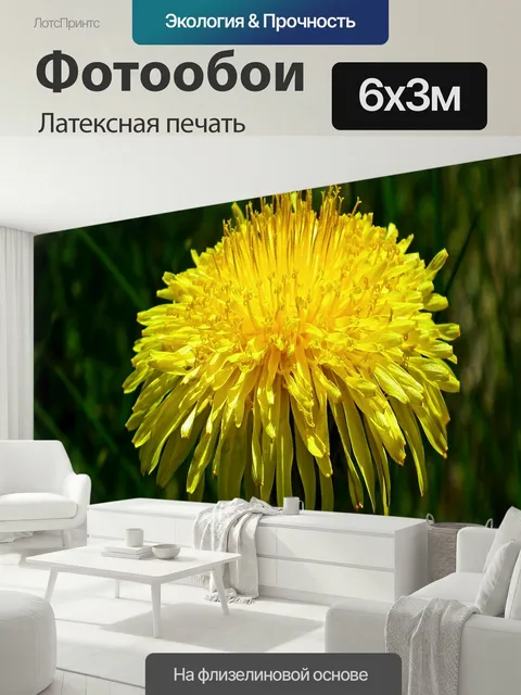 600 × 300 см · Латексная печать