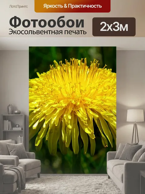 200 × 300 см · Экосольвентная печать