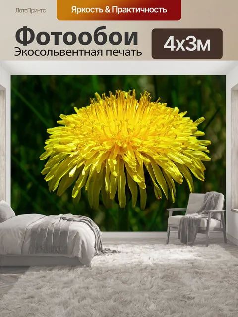 400 × 300 см · Экосольвентная печать