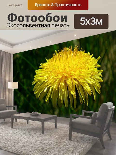 500 × 300 см · Экосольвентная печать