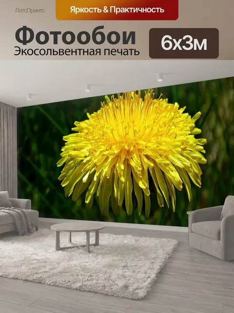 600 × 300 см · Экосольвентная печать