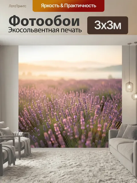 Фотообои Лавандовое поле на рассвете. Пурпурные цветущие кусты на мягком утреннем фоне, размытые холмы и туман вдалеке…