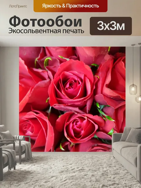 Фотообои Роза, красный, красная роза