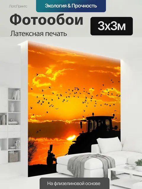300 × 300 см · Латексная печать