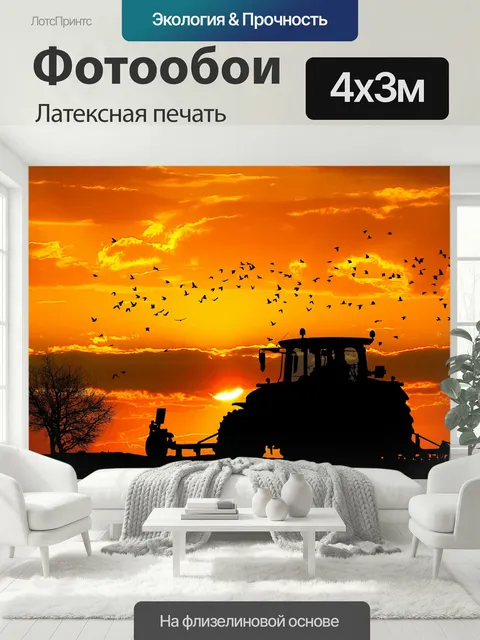 400 × 300 см · Латексная печать