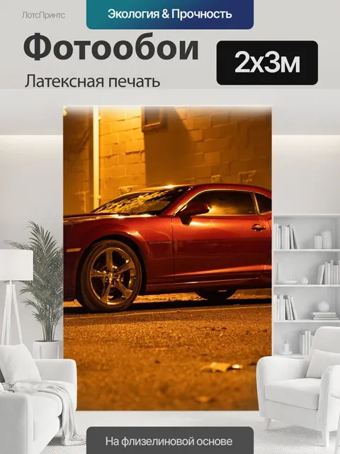 200 × 300 см · Латексная печать