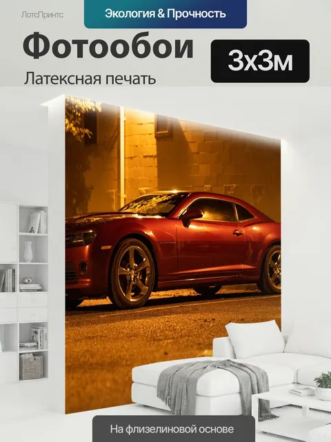 300 × 300 см · Латексная печать
