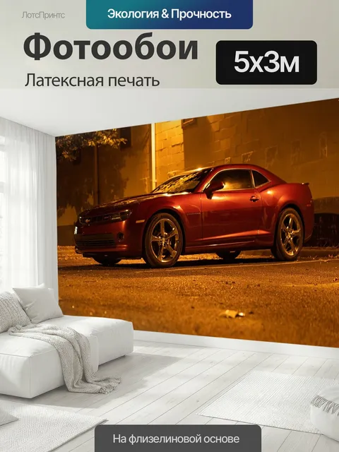 500 × 300 см · Латексная печать