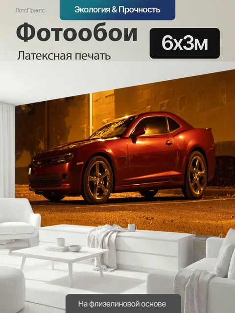 600 × 300 см · Латексная печать