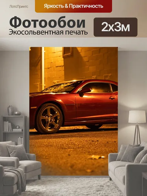 200 × 300 см · Экосольвентная печать
