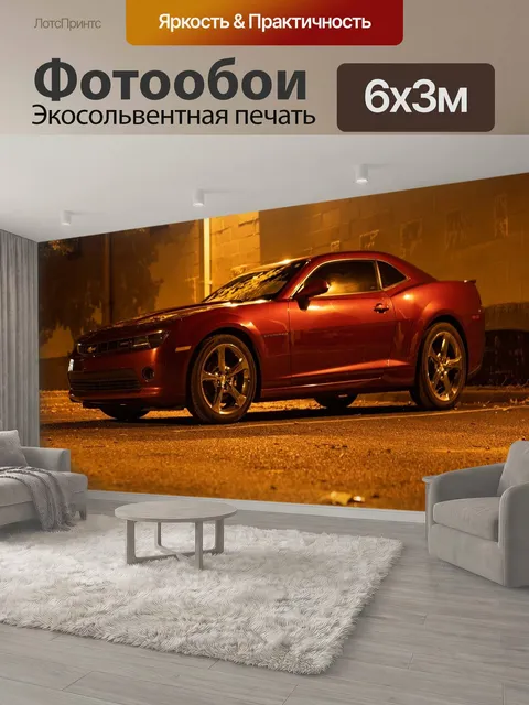 600 × 300 см · Экосольвентная печать