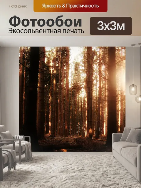 Фотообои Лес, туман, дерево