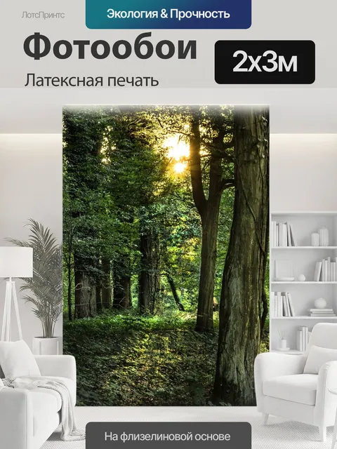 200 × 300 см · Латексная печать