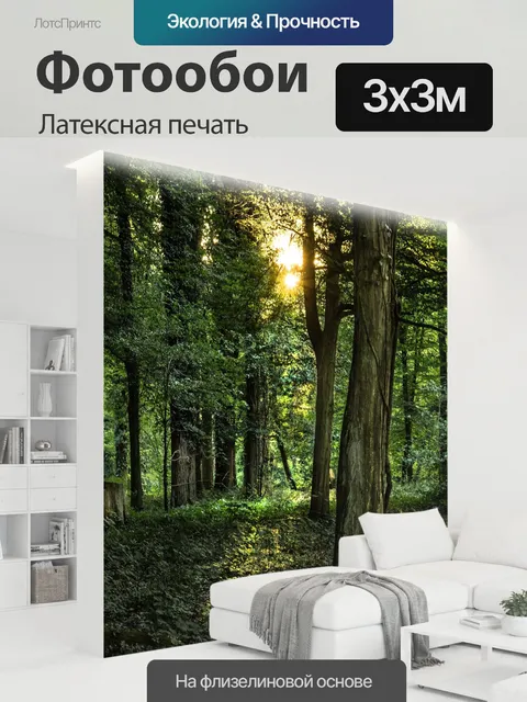 300 × 300 см · Латексная печать