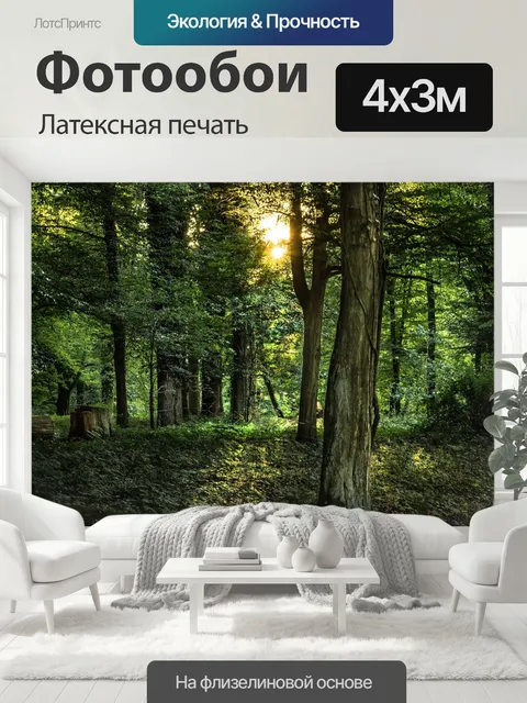 400 × 300 см · Латексная печать