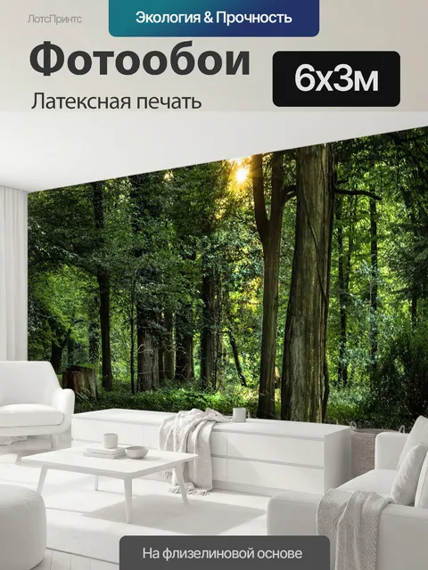 600 × 300 см · Латексная печать