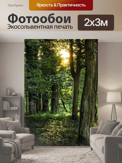200 × 300 см · Экосольвентная печать